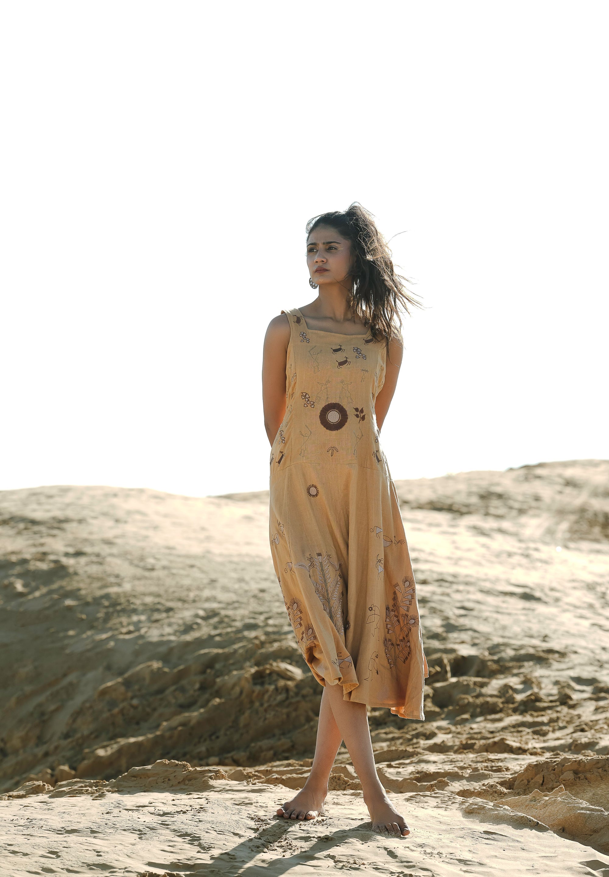 Schiffli Embroidery Dress