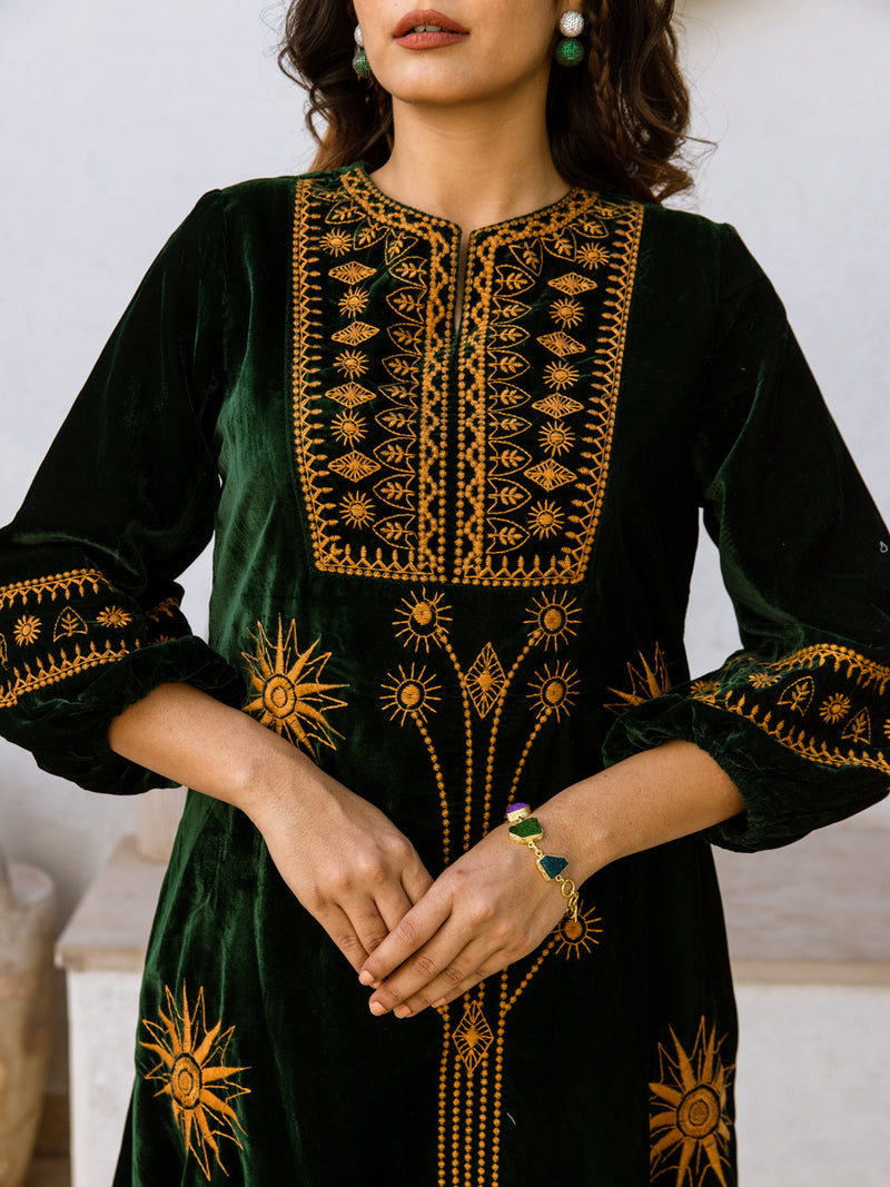 Shimmer embroidery velvet dress