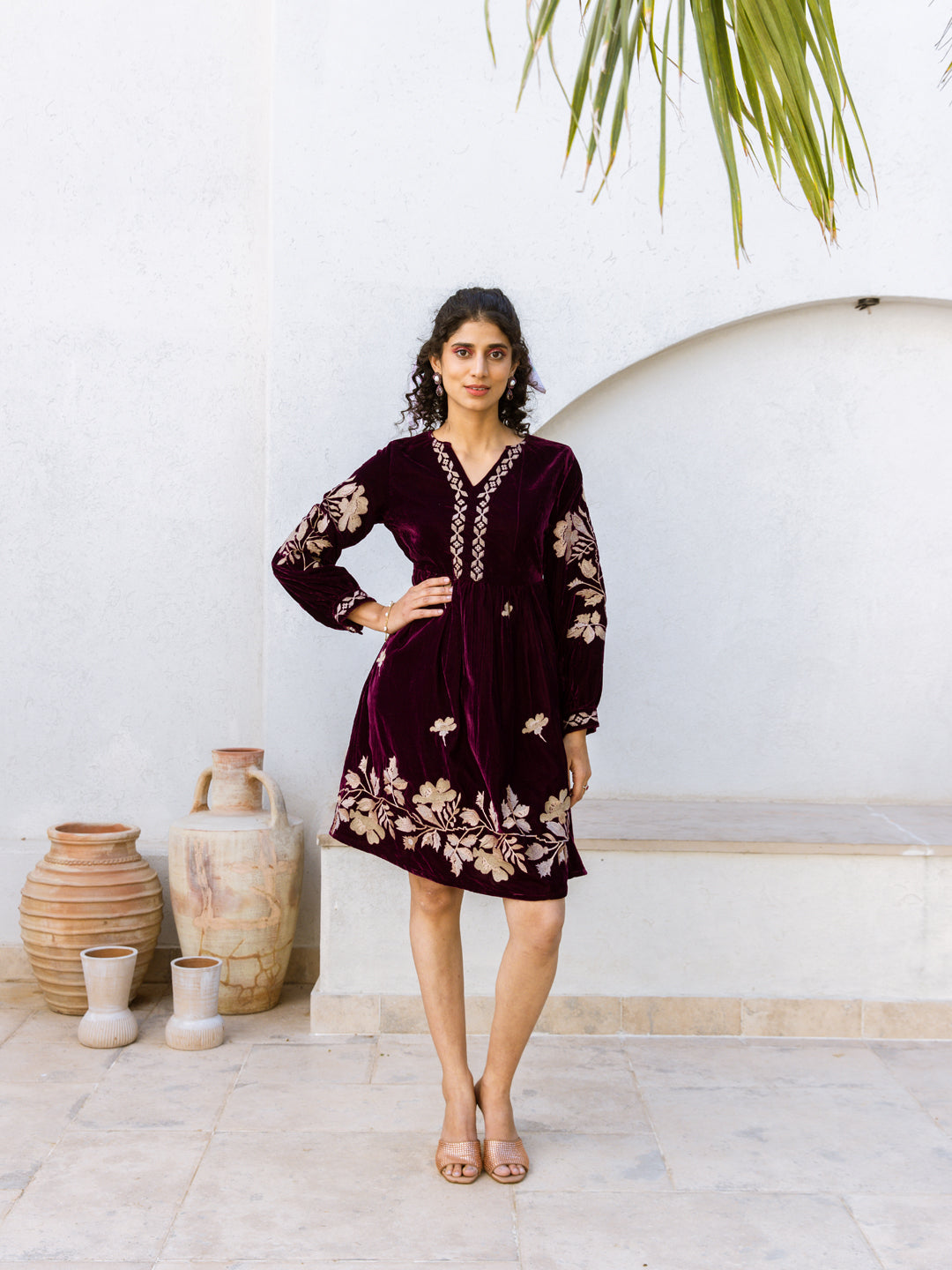 Louise Embroidery Velvet Dress