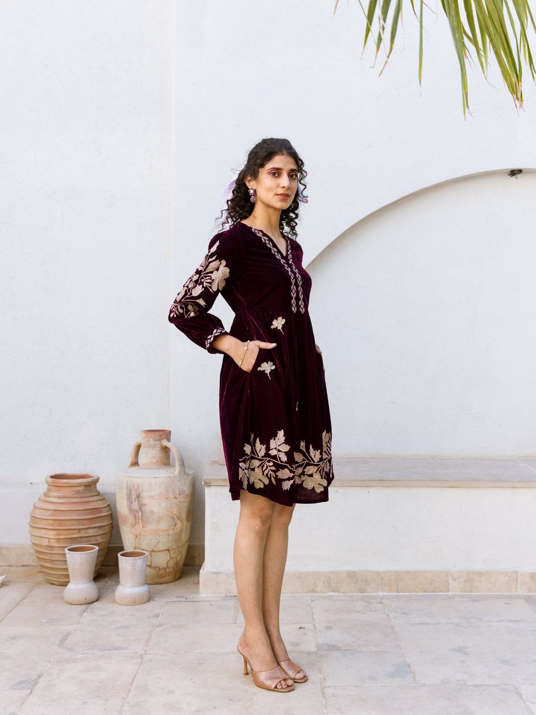 Louise embroidery velvet dress