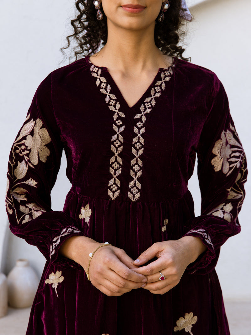 Louise embroidery velvet dress