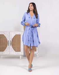 Pegasus blue embroidered dress