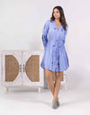 Pegasus blue embroidered dress